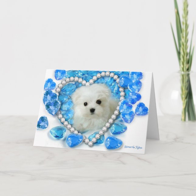 Hermes the Maltese Valentine Card (Front)
