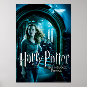 Hermione Granger 3 Poster