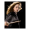 Hermione Granger Ready For Action