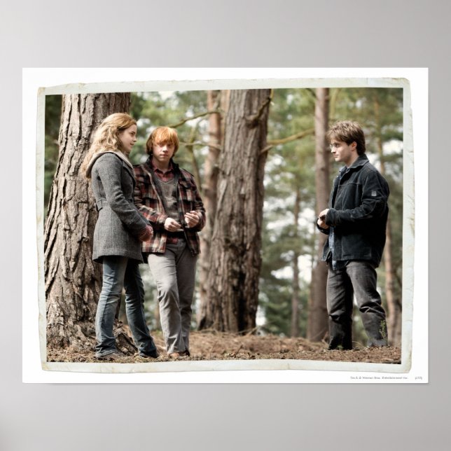 Hermione, Ron, and Harry 2 Poster (Front)