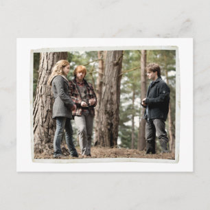 Hermione, Ron, and Harry Postcard