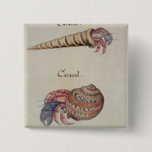 Hermit Crab 15 Cm Square Badge