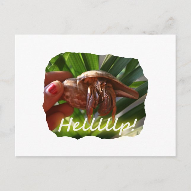 Hermit Crab and Help text , funny animal design Postcard (Front)