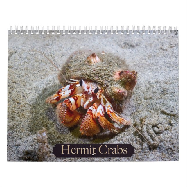 Hermit Crab Calendar (Cover)