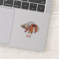Hermit crab cartoon illustration