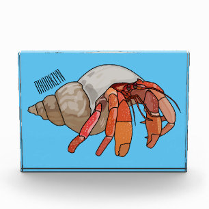 Hermit crab cartoon illustration photo block