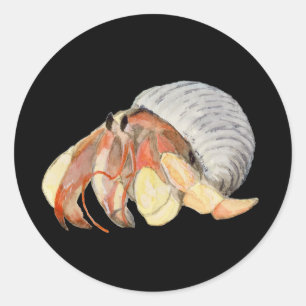 Hermit Crab Classic Round Sticker