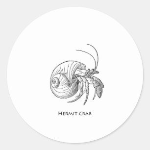 Hermit Crab Illustration (line art) Classic Round Sticker