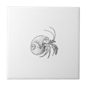 Hermit Crab Illustration (line art) Tile