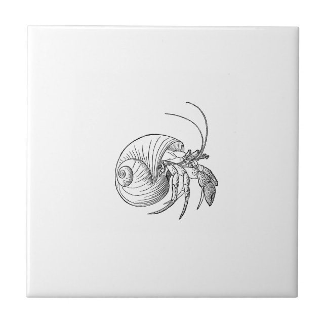 Hermit Crab Illustration (line art) Tile (Front)