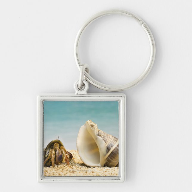 Hermit crab looking at larger shell key ring (Front)