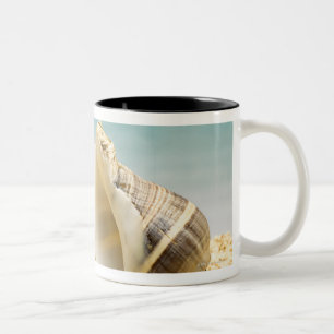 Hermit crab looking at larger shell Two-Tone coffee mug
