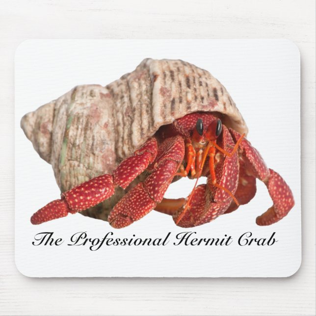 Hermit Crab Mousepad, The Professional Hermit Crab Mouse Pad (Front)