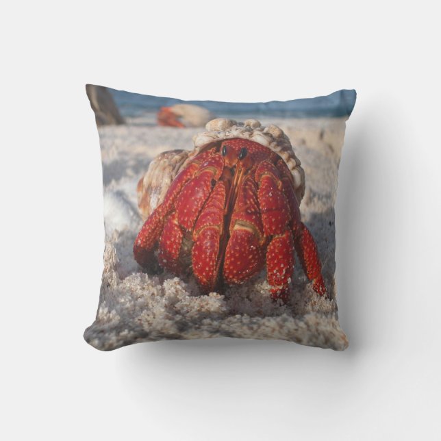 Hermit Crab on the Beach Cushion (Front)