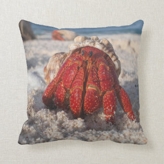 Hermit Crab on the Beach Cushion