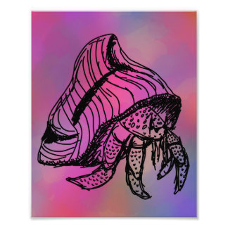 Hermit crab print