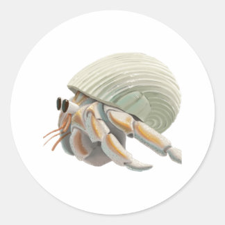 Hermit Crab Sticker