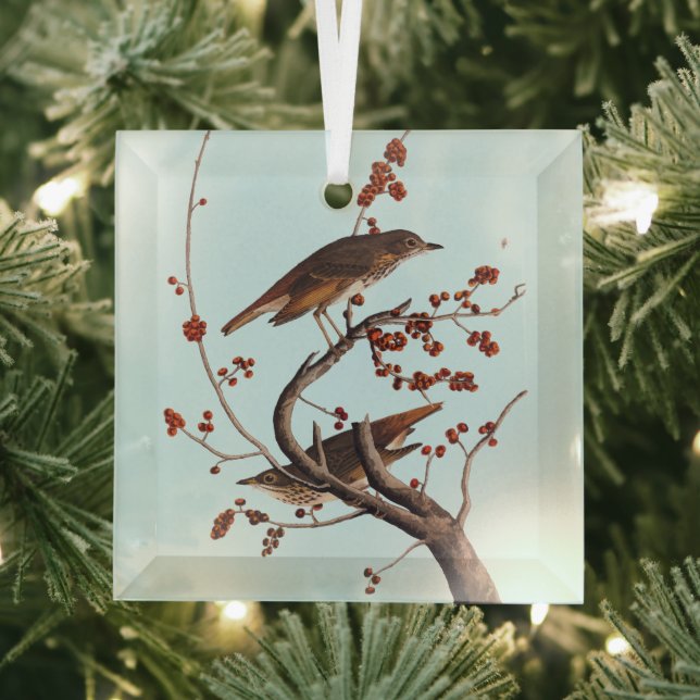 Hermit Thrush Audubon Bird with Red Berries Glass Tree Decoration (Insitu)