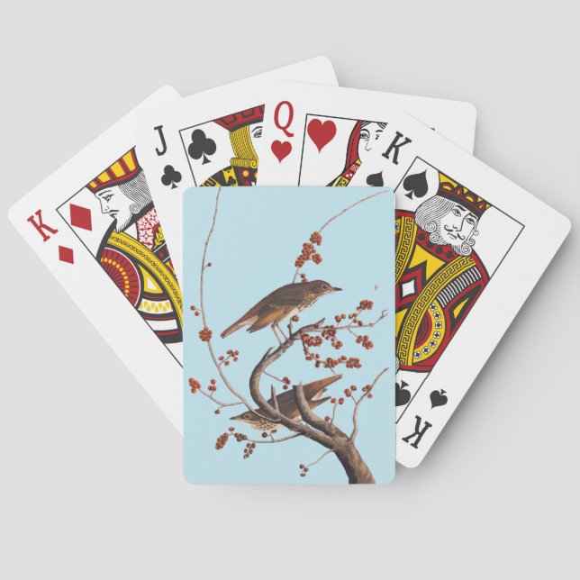 Hermit Thrush Audubon Bird with Red Berries Playing Cards (Back)