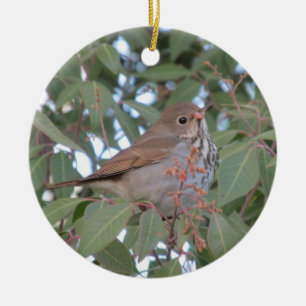 Hermit Thrush Ceramic Tree Decoration