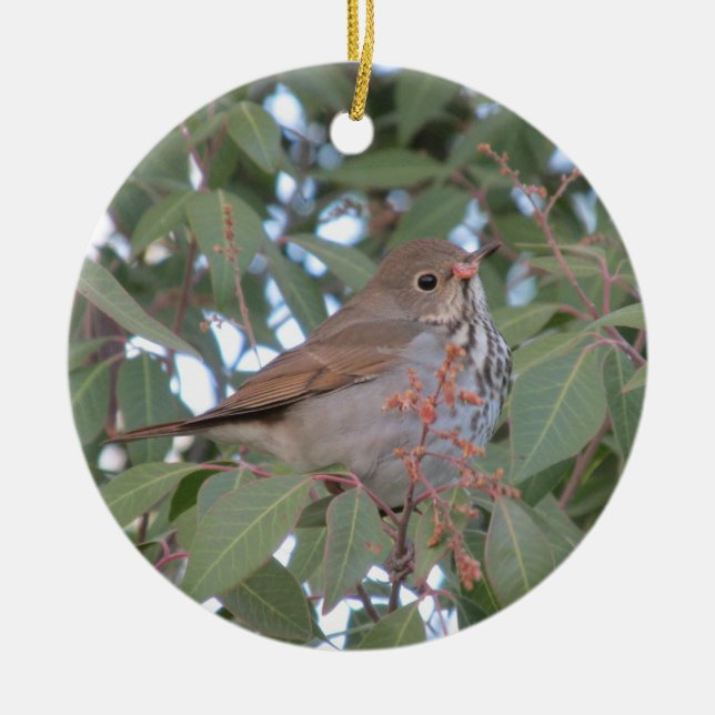 Hermit Thrush Ceramic Tree Decoration (Front)