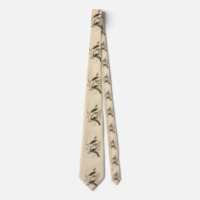 Hermit Thrush from Audubon's Birds of America Tie (Front)