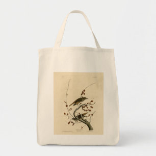 Hermit Thrush from Audubon's Birds of America Tote Bag