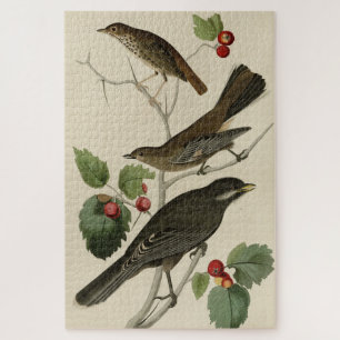 Hermit Thrush, Grey Jay Audubon's Birds of America Jigsaw Puzzle