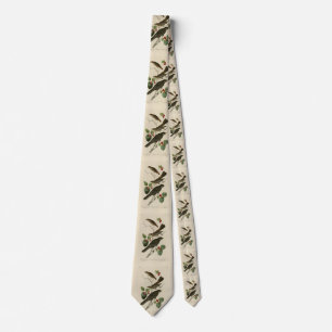 Hermit Thrush, Grey Jay Audubon's Birds of America Tie