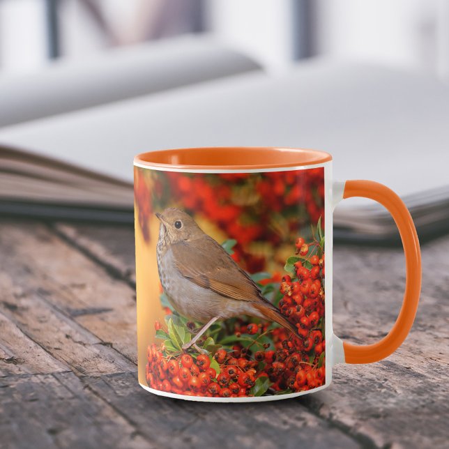 Hermit Thrush Songbird on Scarlet Firethorn Mug (Hermit Thrush on Pyracantha Shrub 11 oz Coffee Mug Cover Photo.)