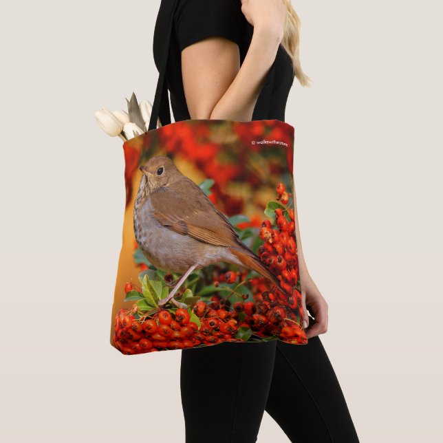 Hermit Thrush Songbird on Scarlet Firethorn Tote Bag (Close Up)