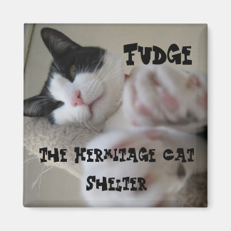 Hermitage Magnet- Fudge Magnet