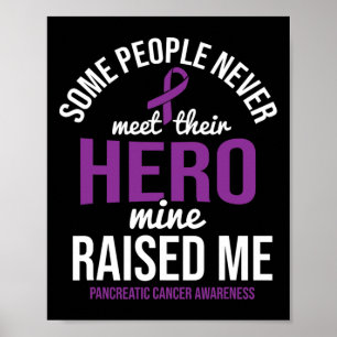 Hero Raised Me Pancreatic Cancer Awareness Pancrea Poster