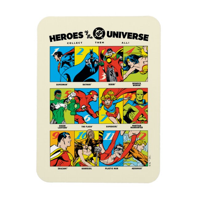Heroes of the DC™ Universe Magnet (Vertical)
