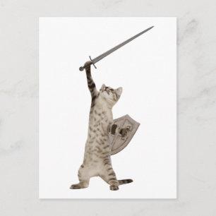 Heroic Warrior Knight Cat Postcard