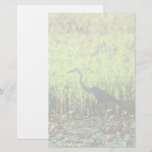 Heron 6449