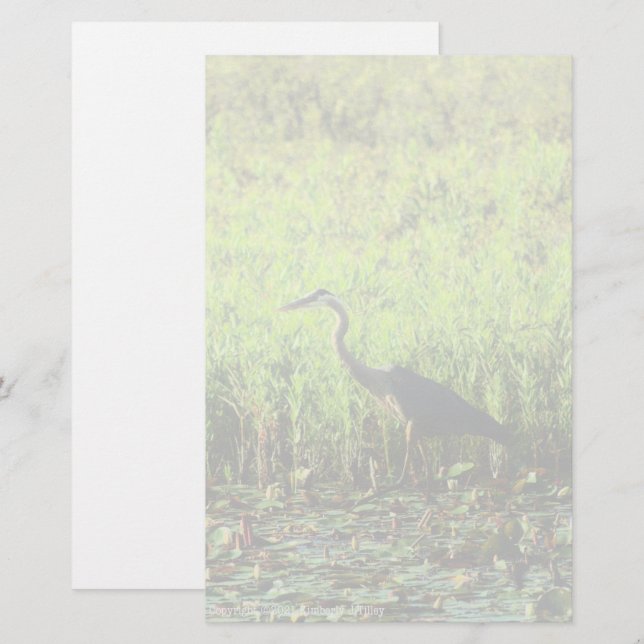 Heron 6449 (Front/Back)