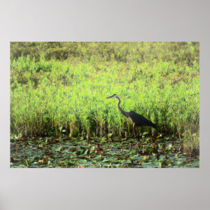 Heron 6449 poster