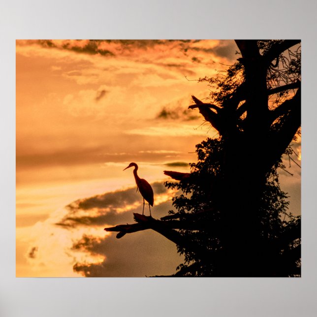 Heron at Sunset - James River -- art poster (Front)