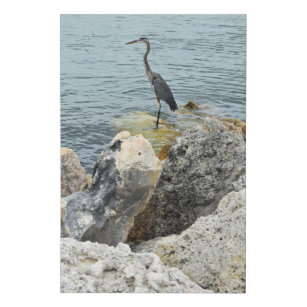 Heron Bird At The Beach On Rocks Faux Canvas Print