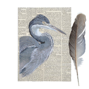 Heron Bird French Newspaper Vintage Decoupage Tissue Paper