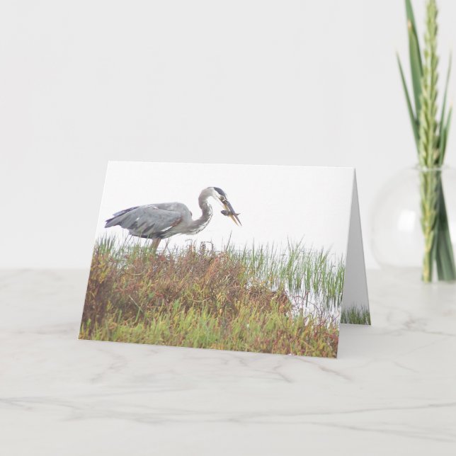 Heron Bird Wildlife Animals Wetlands Card (Front)
