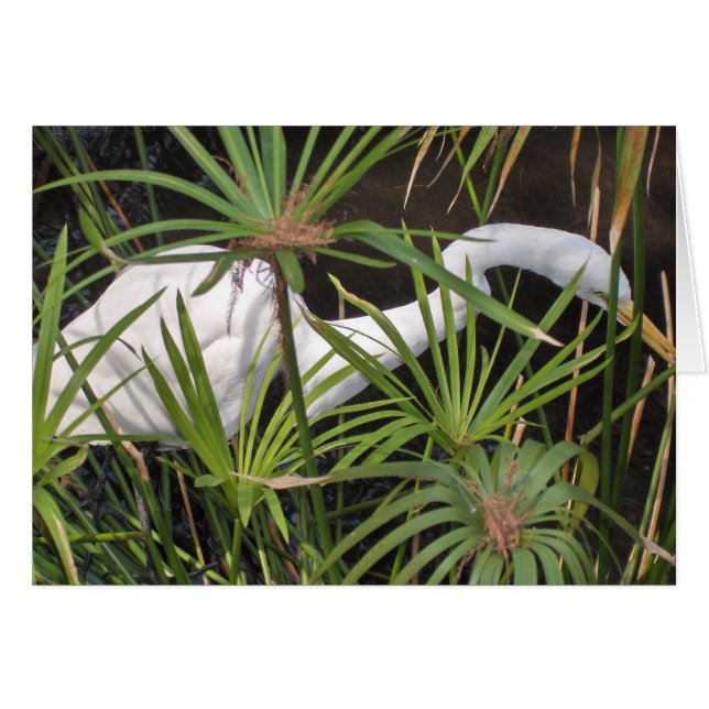 Heron Card (Front Horizontal)