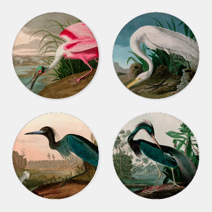 Heron Crane Birds of America Audubon Print Coaster Set
