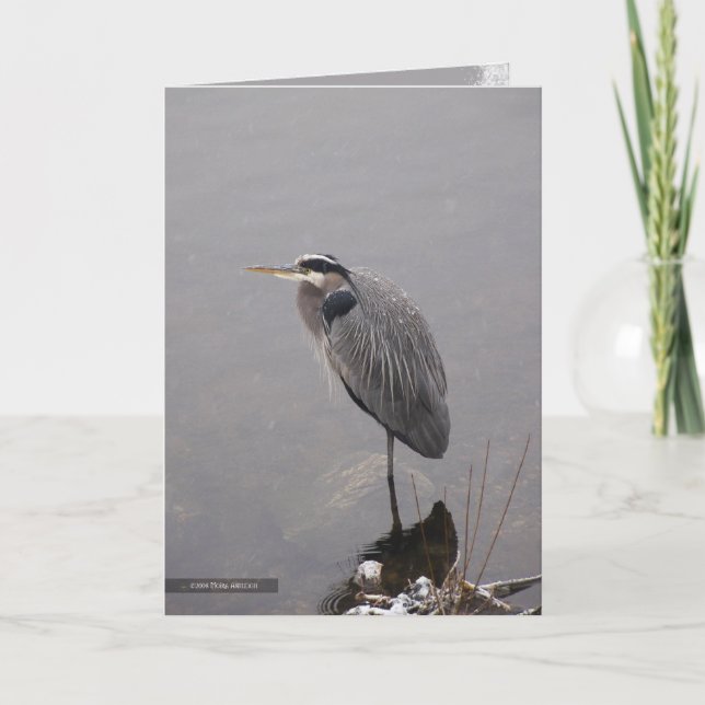 Heron Facing the Storm Card (Front)