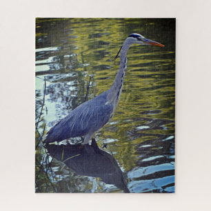 Heron Feeding in the Pond at RHS Wisley, UK Jigsaw Puzzle