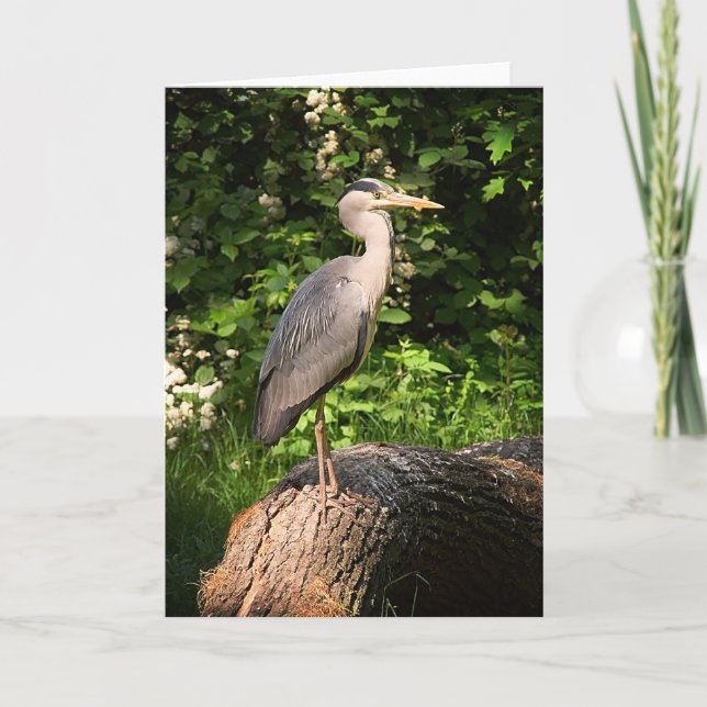 Heron • Greeting Card (Front)
