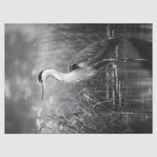 Heron in the Marsh Black and White Decoupage Tissue Paper