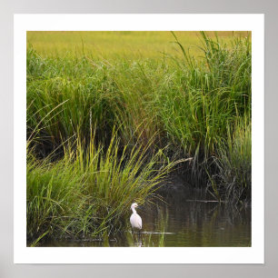 Heron in the Marsh Poster