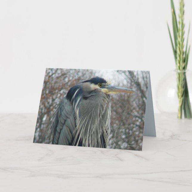 Heron in Winter Card (Front)